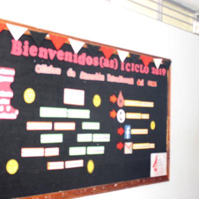 Estu29